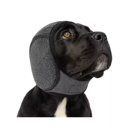 Pfoten Herzen Hörschutz