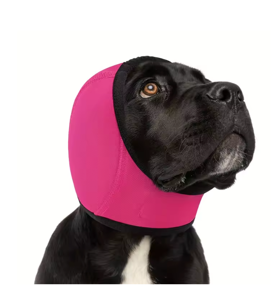 Pfoten Herzen Hörschutz